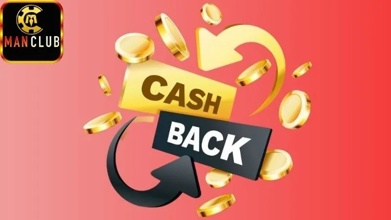 Hoàn trả cược hàng tuần